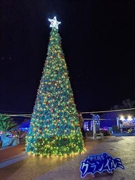 伊豆ぐらんぱる公園に投稿された画像（2021/12/23）