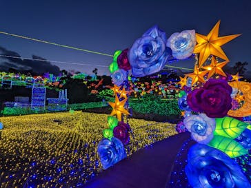 伊豆ぐらんぱる公園に投稿された画像（2021/12/23）