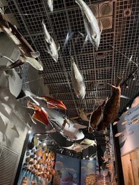 国立科学博物館に投稿された画像（2021/12/23）