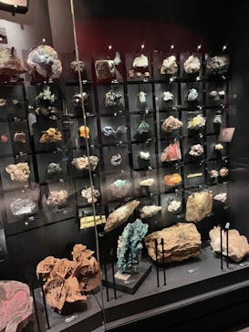 国立科学博物館に投稿された画像（2021/12/23）