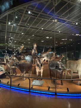 国立科学博物館に投稿された画像（2021/12/23）