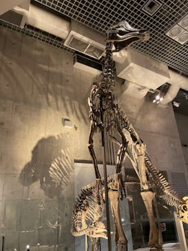 国立科学博物館に投稿された画像（2021/12/23）