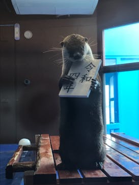 ゼロ距離水族館 伊勢シーパラダイスに投稿された画像（2021/12/23）