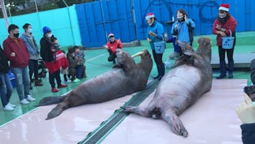 ゼロ距離水族館 伊勢シーパラダイスに投稿された画像（2021/12/23）
