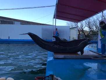 ゼロ距離水族館 伊勢シーパラダイスに投稿された画像（2021/12/23）