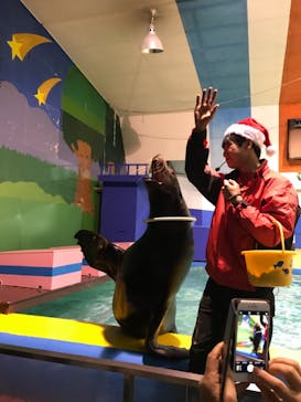 ゼロ距離水族館 伊勢シーパラダイスに投稿された画像（2021/12/23）