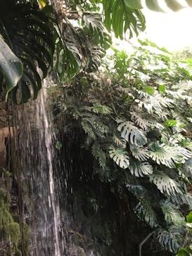 ゼロ距離水族館 伊勢シーパラダイスに投稿された画像（2021/12/23）