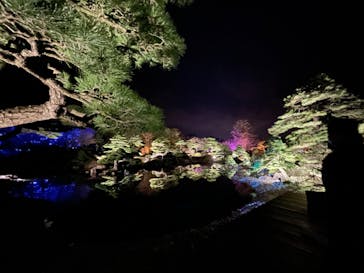 日本庭園　由志園に投稿された画像（2021/12/23）