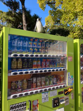 天王寺動物園に投稿された画像（2021/12/23）