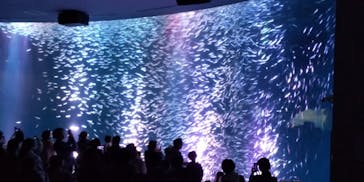 名古屋港水族館に投稿された画像（2021/12/23）