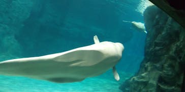 名古屋港水族館に投稿された画像（2021/12/23）