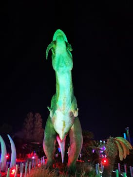 伊豆ぐらんぱる公園に投稿された画像（2021/12/23）