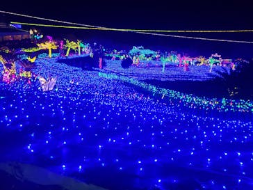 伊豆ぐらんぱる公園に投稿された画像（2021/12/23）