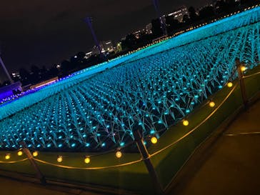 東京メガイルミに投稿された画像（2021/12/23）