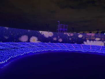 東京メガイルミに投稿された画像（2021/12/23）