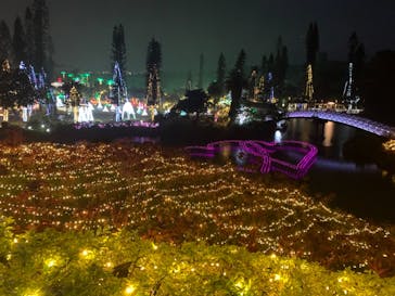 美らヤシパークオキナワ・東南植物楽園に投稿された画像（2021/12/24）