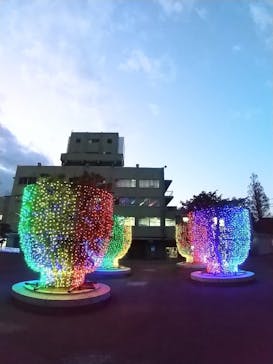 東京メガイルミに投稿された画像（2021/12/24）