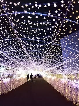 東京メガイルミに投稿された画像（2021/12/24）