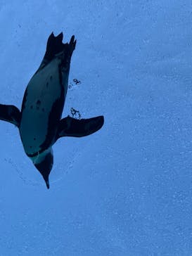 サンシャイン水族館に投稿された画像（2021/12/24）