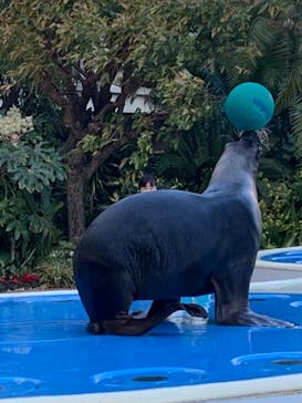 サンシャイン水族館に投稿された画像（2021/12/24）