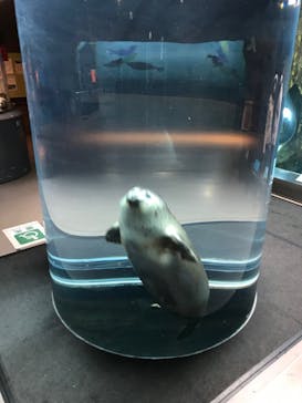 旭川市旭山動物園に投稿された画像（2021/12/24）