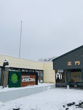 旭川市旭山動物園に投稿された画像（2021/12/24）