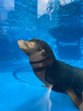 サンシャイン水族館に投稿された画像（2021/12/24）