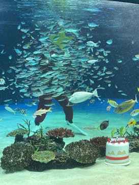 サンシャイン水族館に投稿された画像（2021/12/24）