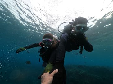 DIVING-SHOP SUNSに投稿された画像（2021/12/24）