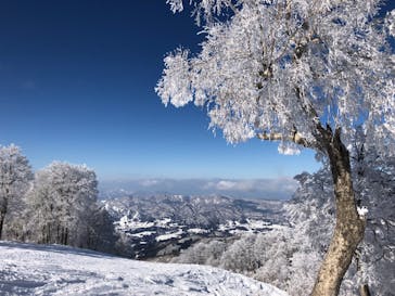 野沢温泉スキー場に投稿された画像（2021/12/24）