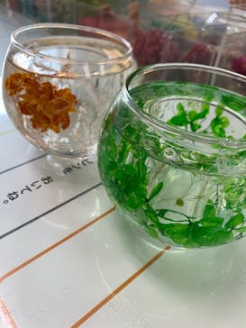 ずこうしつ〜sugamo〜に投稿された画像（2021/12/24）