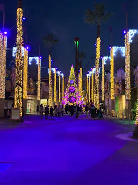 ひらかたパークに投稿された画像（2021/12/24）