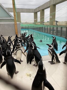 株式会社Gに投稿された画像（2021/12/24）