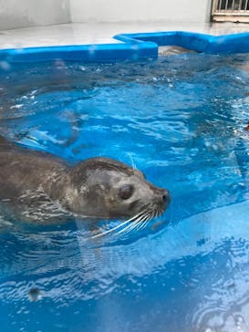 株式会社Gに投稿された画像（2021/12/24）