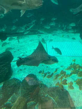 株式会社Gに投稿された画像（2021/12/24）