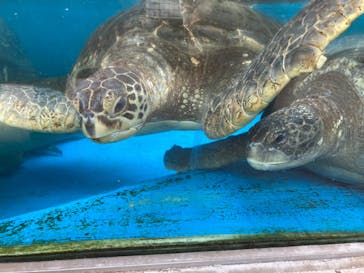 株式会社Gに投稿された画像（2021/12/24）