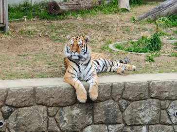 天王寺動物園に投稿された画像（2021/12/24）