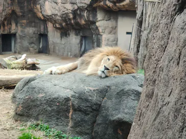 天王寺動物園に投稿された画像（2021/12/24）