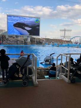 名古屋港水族館に投稿された画像（2021/12/24）