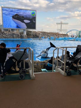 名古屋港水族館に投稿された画像（2021/12/24）