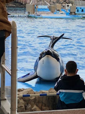 名古屋港水族館に投稿された画像（2021/12/24）