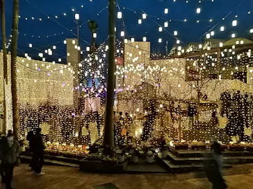 ひらかたパークに投稿された画像（2021/12/24）