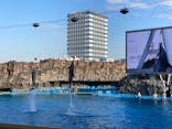 名古屋港水族館に投稿された画像（2021/12/24）