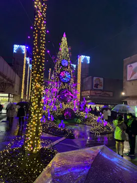 ひらかたパークに投稿された画像（2021/12/24）