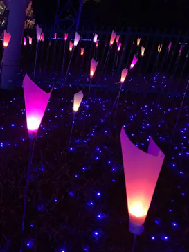 ひらかたパークに投稿された画像（2021/12/24）