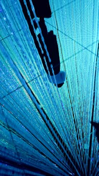 森ビル デジタルアート ミュージアム：エプソン チームラボボーダレスに投稿された画像（2021/12/24）