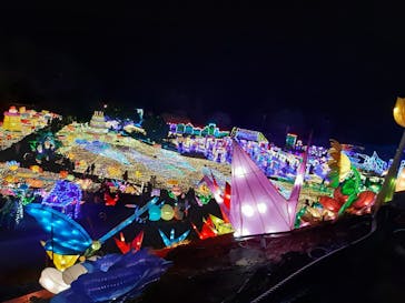 伊豆ぐらんぱる公園に投稿された画像（2021/12/24）