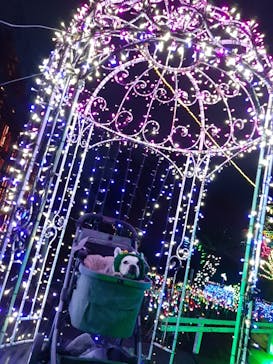 伊豆ぐらんぱる公園に投稿された画像（2021/12/24）