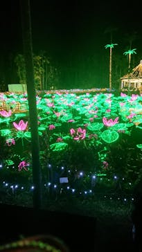 美らヤシパークオキナワ・東南植物楽園に投稿された画像（2021/12/24）