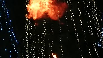 美らヤシパークオキナワ・東南植物楽園に投稿された画像（2021/12/24）